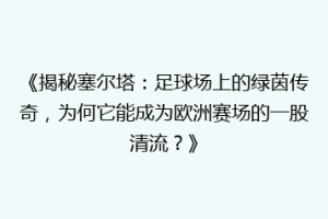 《揭秘塞尔塔：足球场上的绿茵传奇，为何它能成为欧洲赛场的一股清流？》
