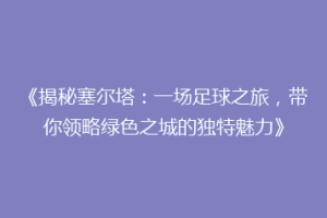 《揭秘塞尔塔：一场足球之旅，带你领略绿色之城的独特魅力》