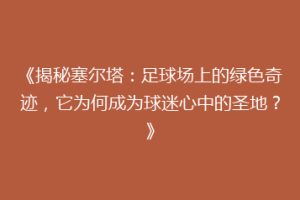 《揭秘塞尔塔：足球场上的绿色奇迹，它为何成为球迷心中的圣地？》