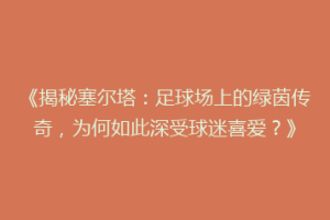 《揭秘塞尔塔：足球场上的绿茵传奇，为何如此深受球迷喜爱？》