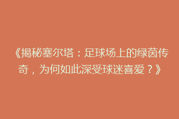 《揭秘塞尔塔:足球场上的绿茵传奇,为何如此深受球迷喜爱?》