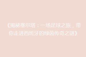 《揭秘塞尔塔：一场足球之旅，带你走进西班牙的绿茵传奇之谜》