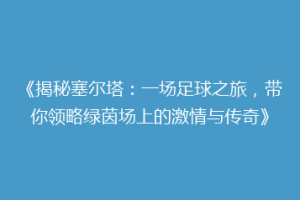 《揭秘塞尔塔：一场足球之旅，带你领略绿茵场上的激情与传奇》
