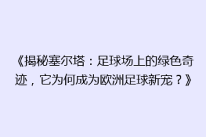 《揭秘塞尔塔：足球场上的绿色奇迹，它为何成为欧洲足球新宠？》