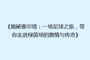 《揭秘塞尔塔：一场足球之旅，带你走进绿茵场的激情与传奇》