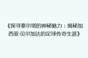 《探寻塞尔塔的神秘魅力：揭秘加西亚·贝尔加达的足球传奇生涯》