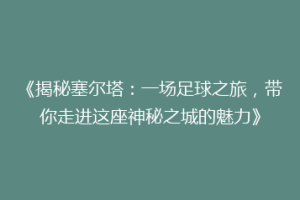 《揭秘塞尔塔：一场足球之旅，带你走进这座神秘之城的魅力》