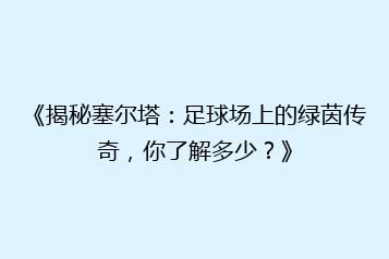 《揭秘塞尔塔:足球场上的绿茵传奇,你了解多少?》